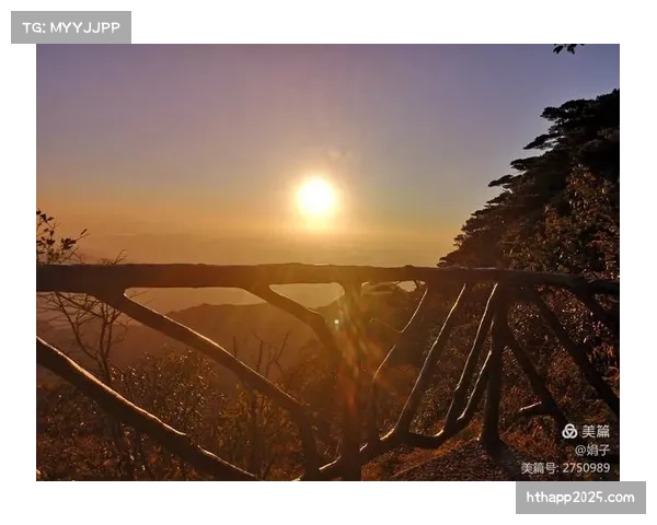 通讯：VAR长时间介入检查，里昂球员在寒风中等待判罚结果